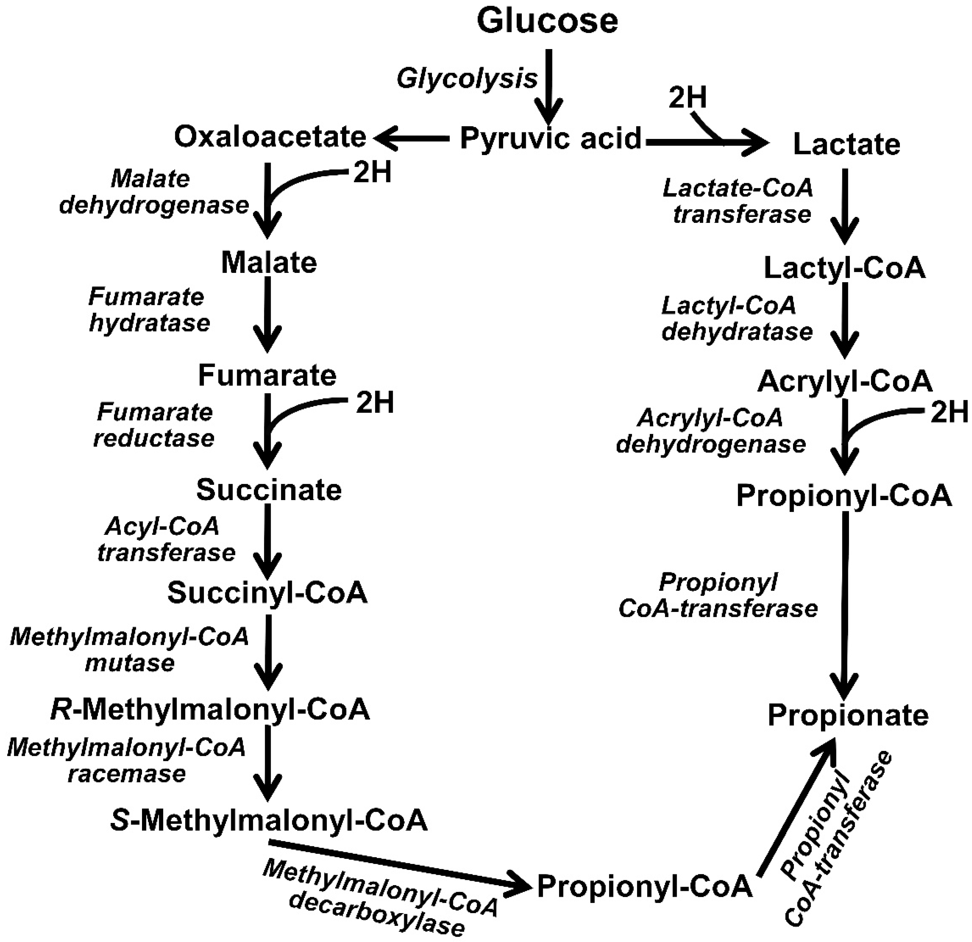 Methane 01 00024 g005