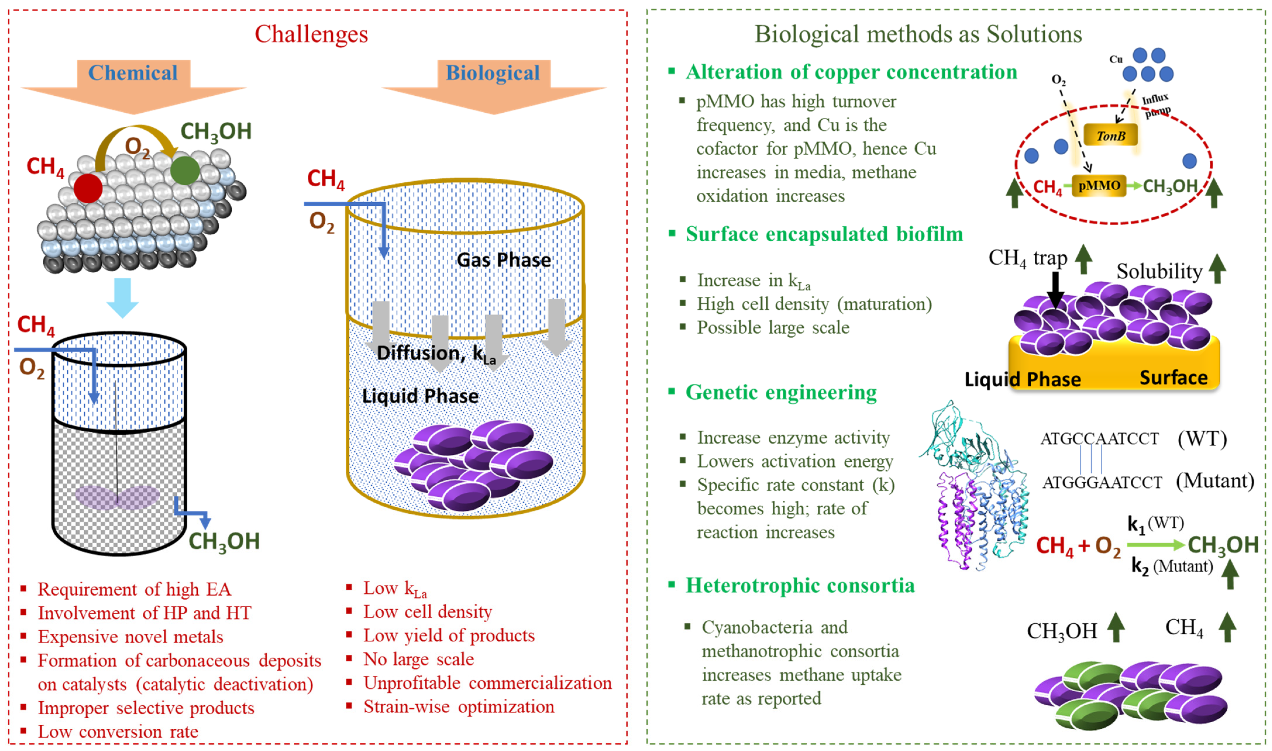 Methane 02 00019 g002