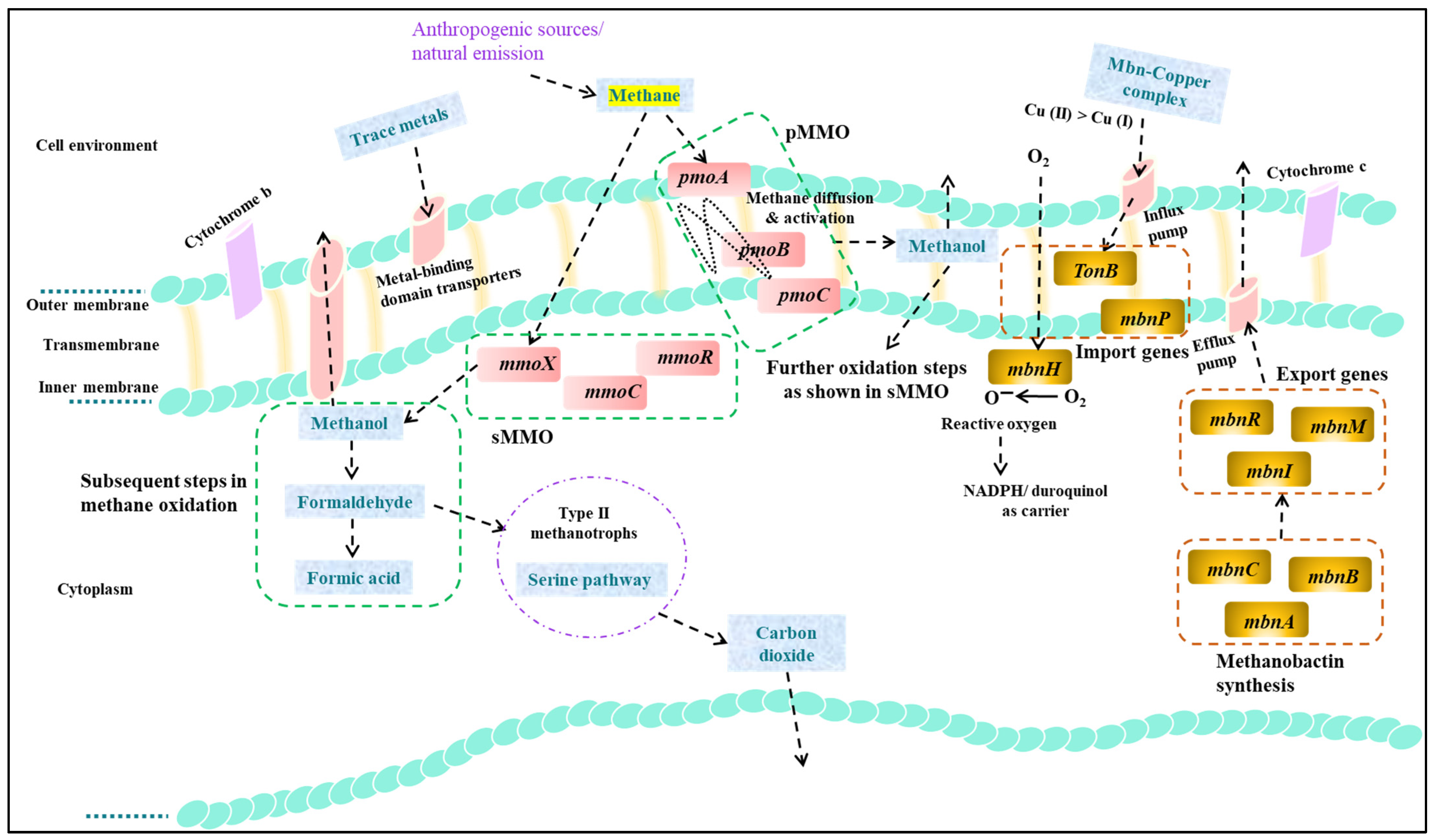 Methane 02 00019 g003