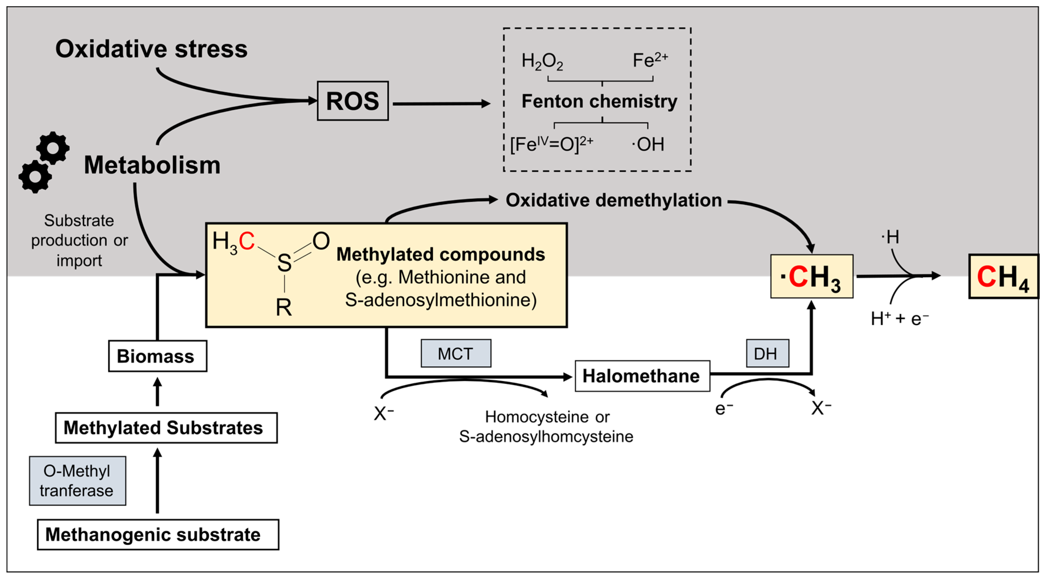 Methane 03 00015 g006