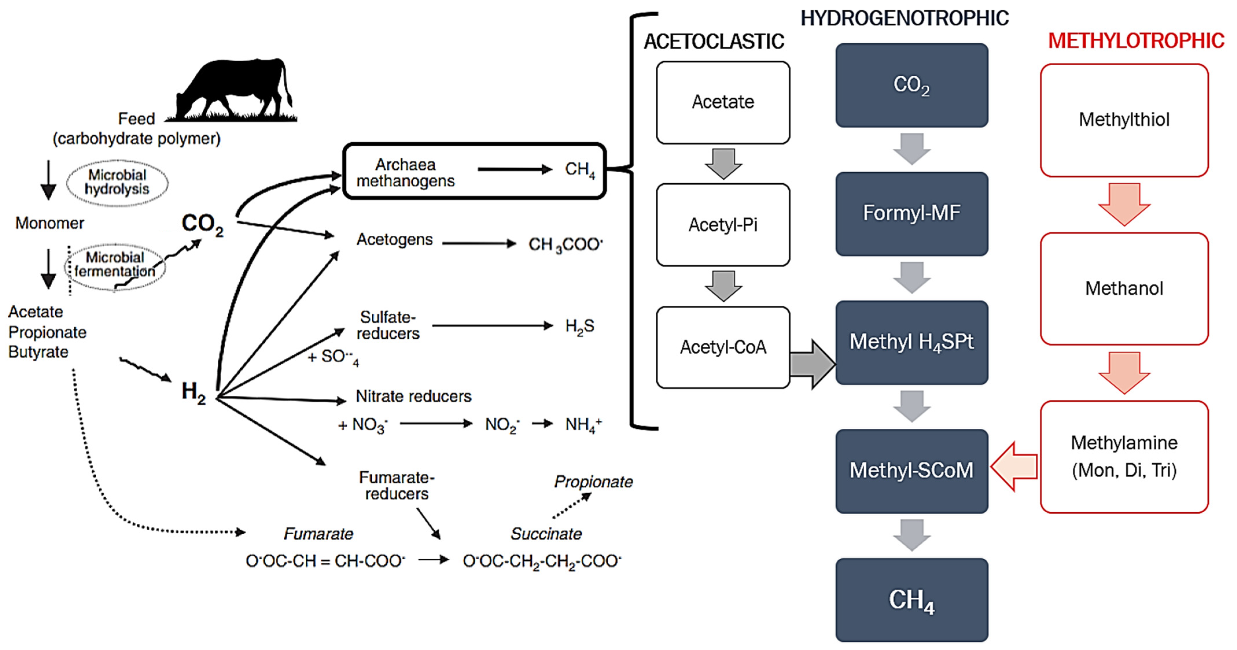 Methane 04 00010 g001