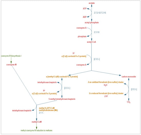 Adapted from MetaCyc Pathway: acetoclastic methanogenesis. The numbers such as 2.7.2.1, 2.7.2.15, 2.3.1.8, 2.3.3.-, 2.1.1.-, 2.3.3.- are EC numbers assigned by the International Union of Biochemistry and Molecular Biology (IUBMB). EC 2.7.2.1/2.7.2.15—Acetate kinase; EC 2.3.1.8—Phosphotransacetylase; EC 2.3.3.-—Acetyl-CoA decarbonylase/synthase; EC2.1.1.-—Methyl-H4SPT:CoM methyltransferase (Mtr); EC 1.2.7.- (shown as 2.3.3.- in MetaCyc shorthand—Carbon monoxide dehydrogenase.
