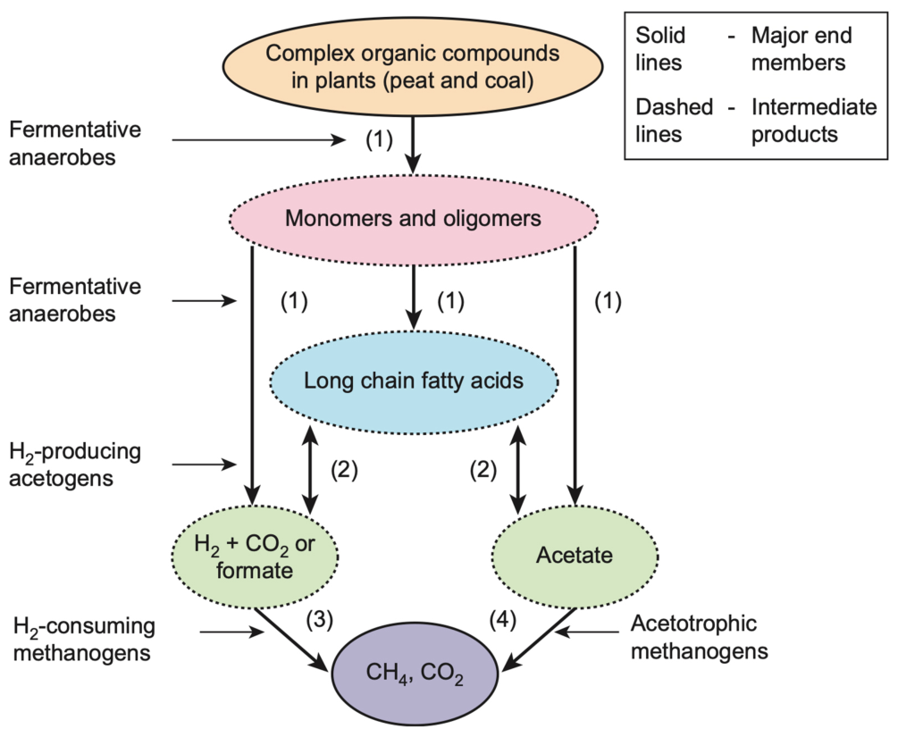 Methane 05 00020 g009