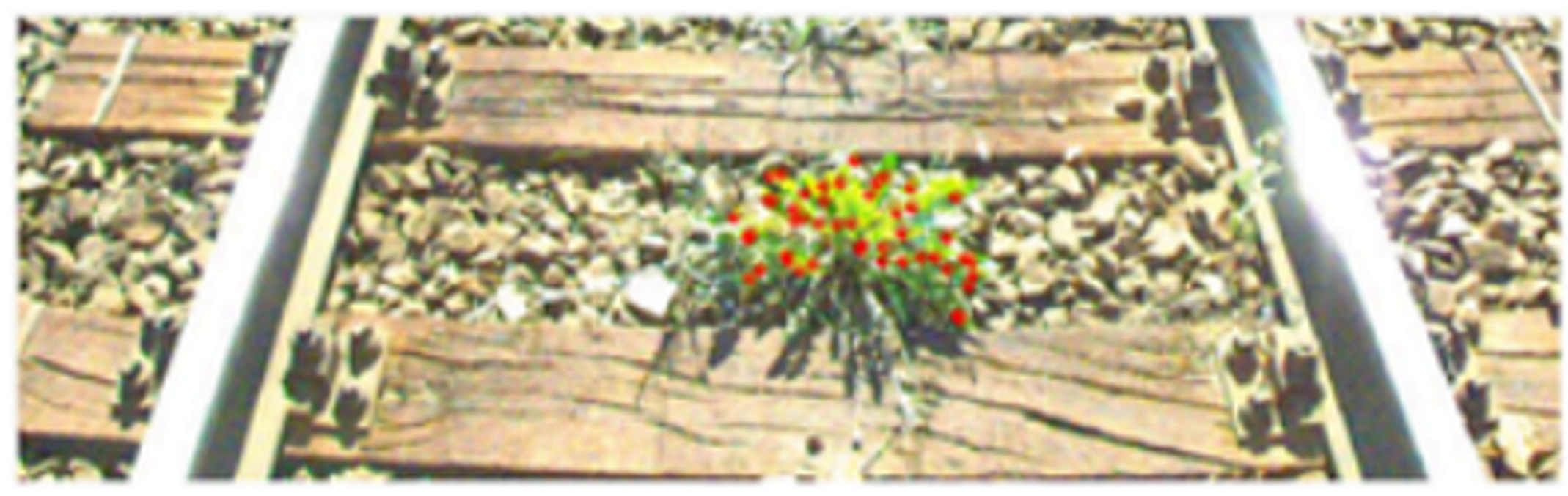 Metrology 02 00014 i021