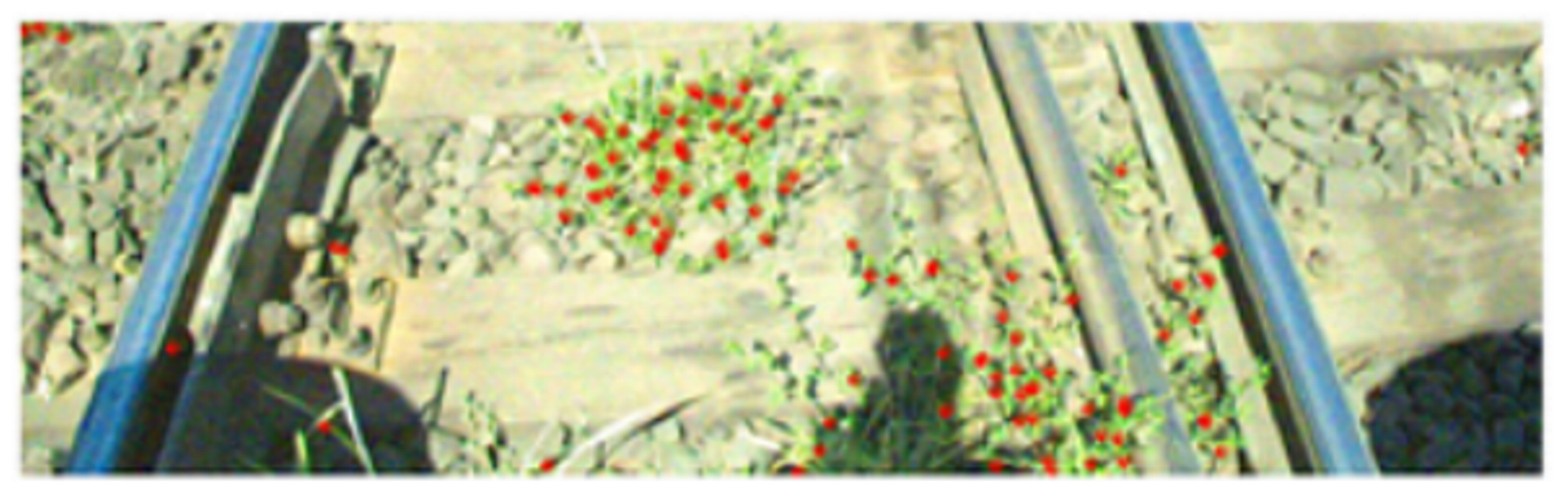 Metrology 02 00014 i023