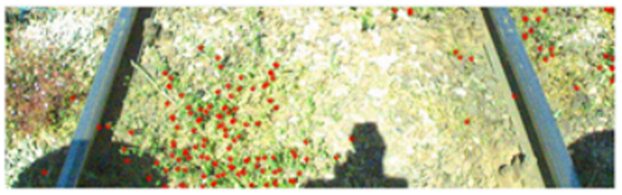 Metrology 02 00014 i024