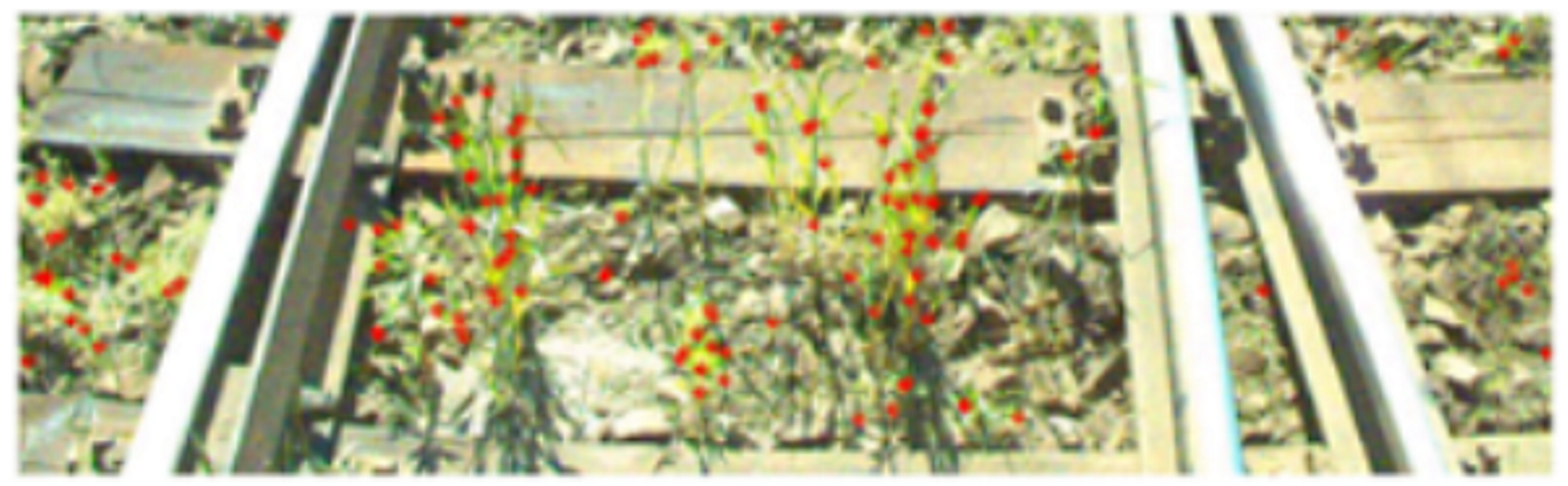 Metrology 02 00014 i025