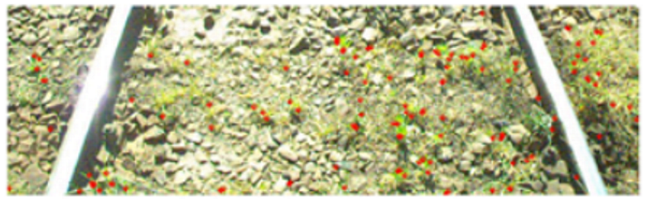 Metrology 02 00014 i026