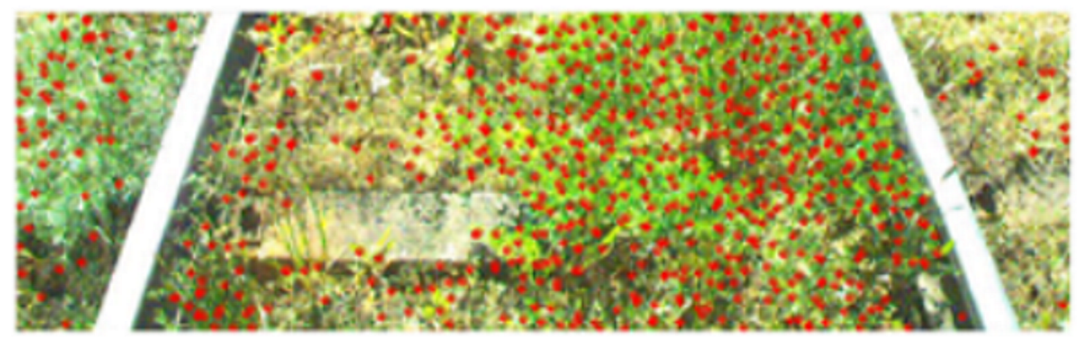 Metrology 02 00014 i028