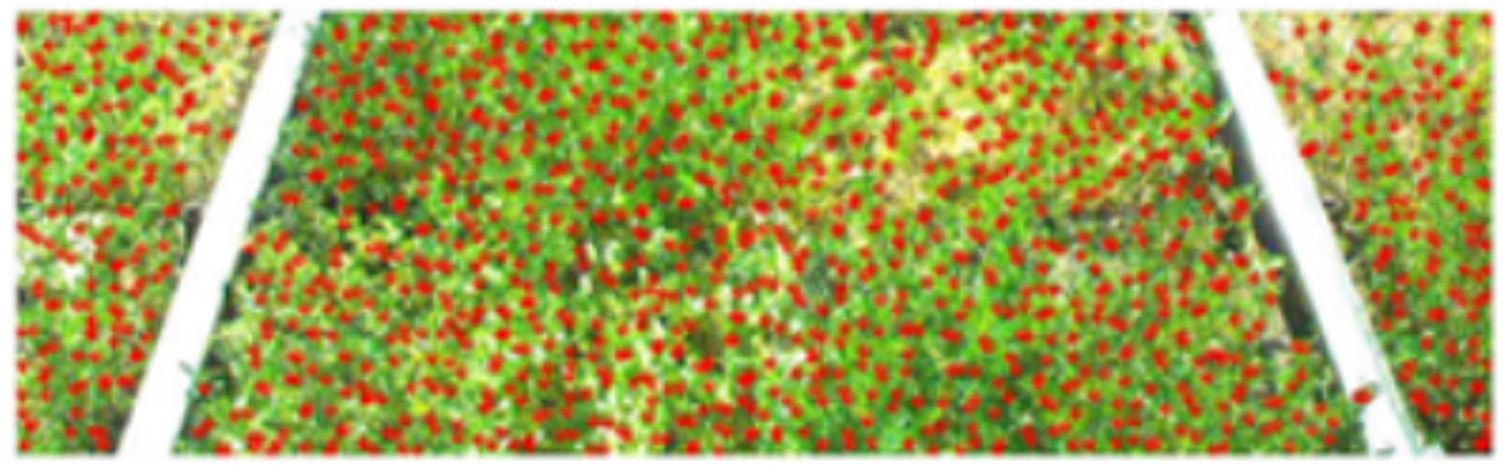 Metrology 02 00014 i031