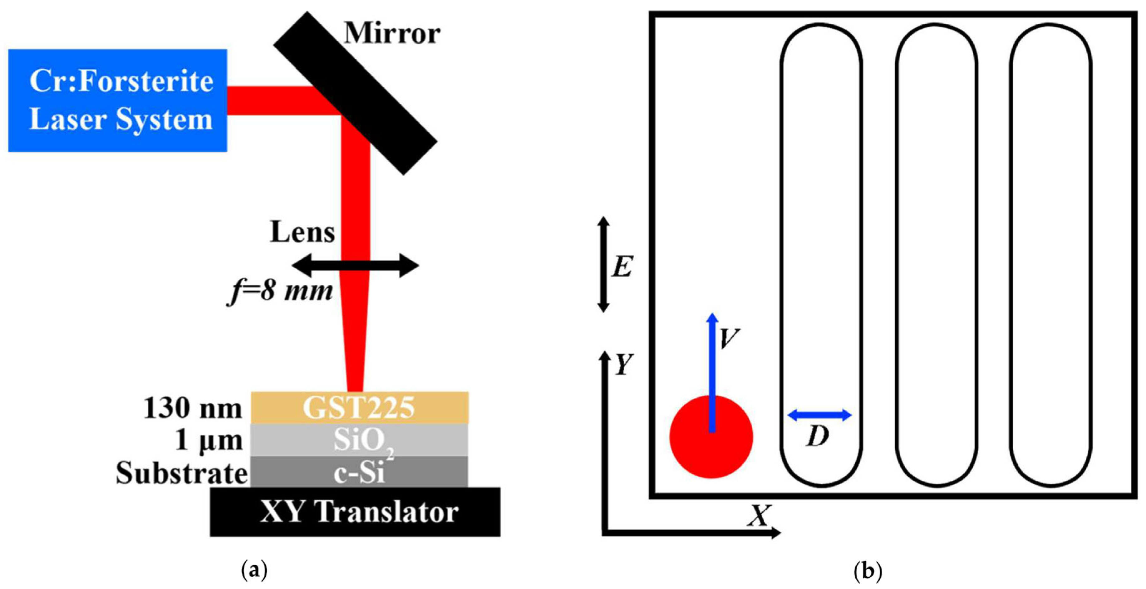 Micro 02 00005 g001