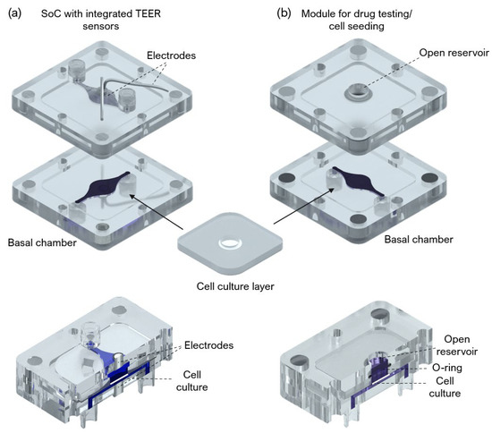 Micro 02 00013 g0a1 550