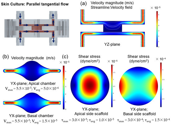 Micro 02 00013 g0a2 550