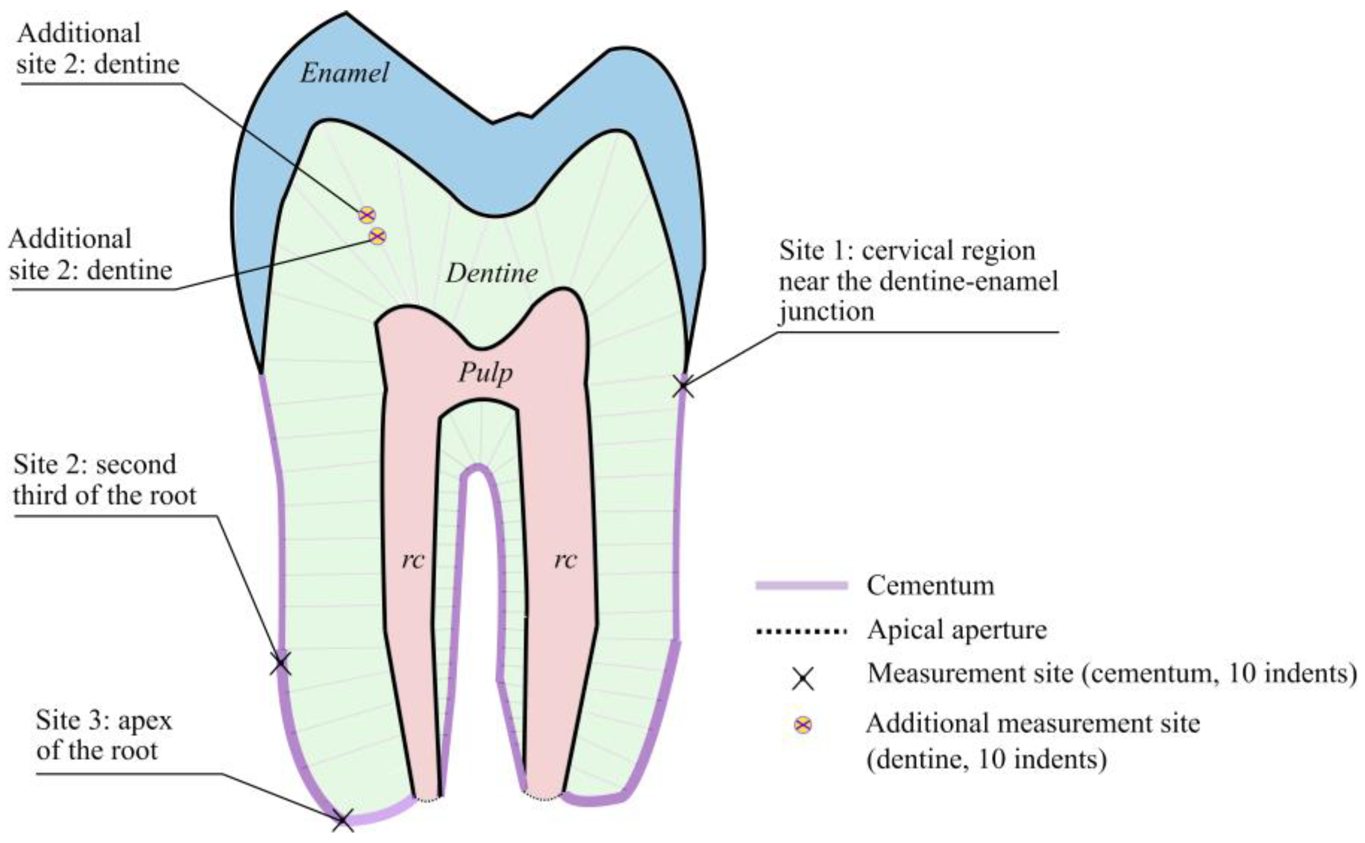 Micro 02 00038 g002 Micro 02 00038 g002