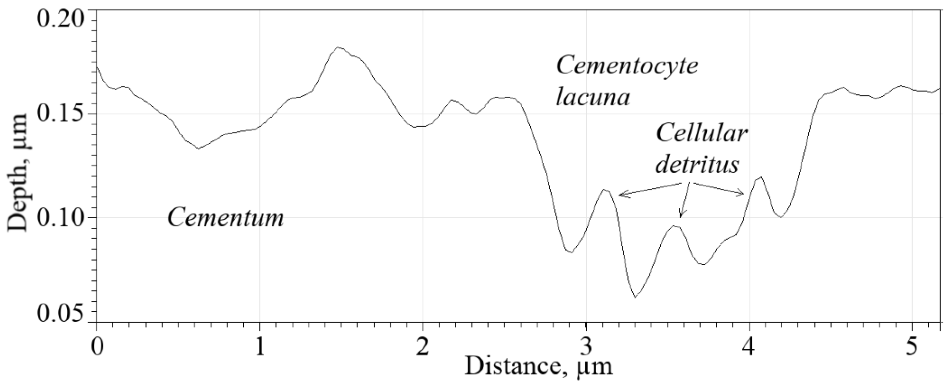 Micro 02 00038 g010 Micro 02 00038 g010