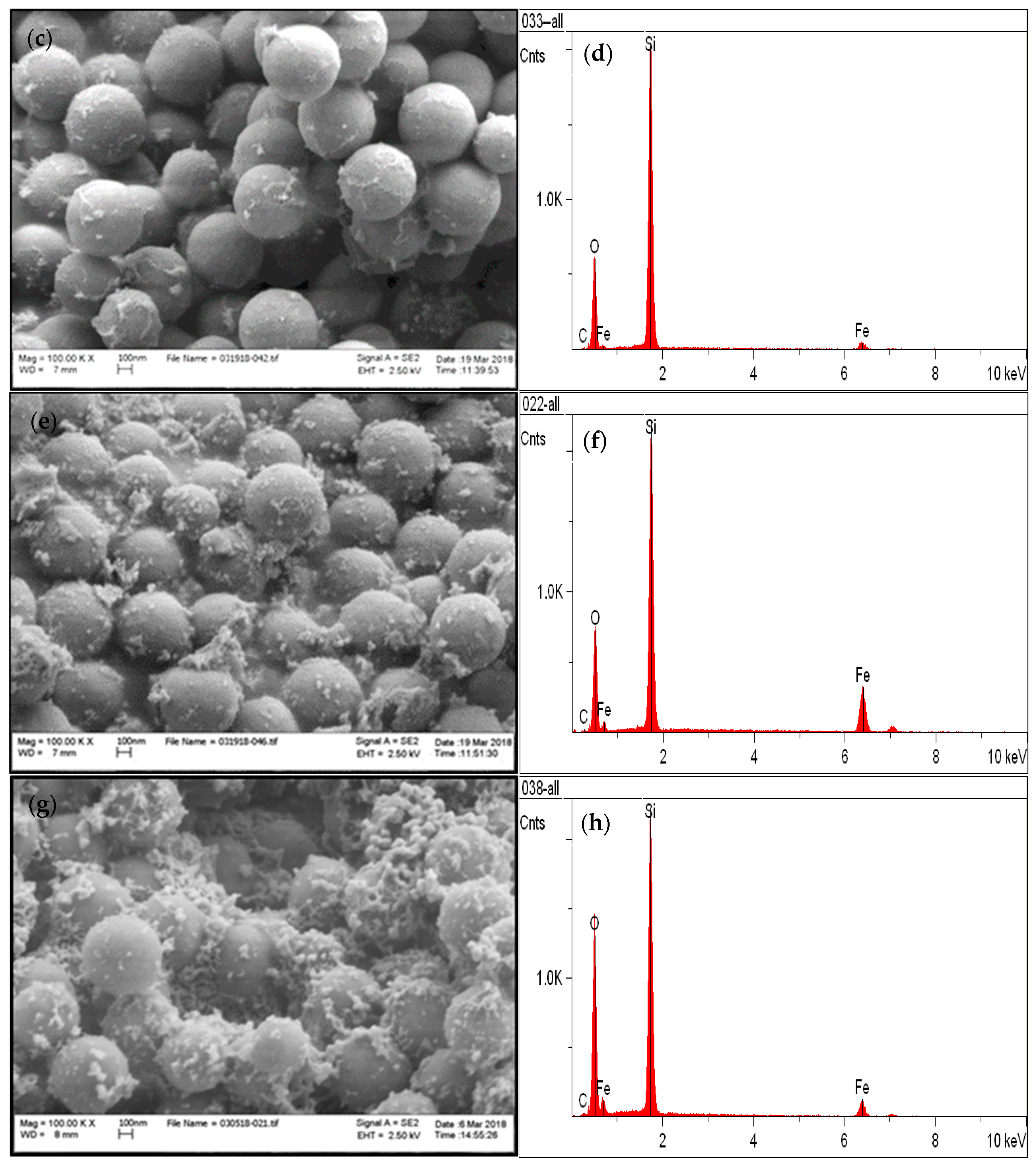 Micro 02 00042 g001b