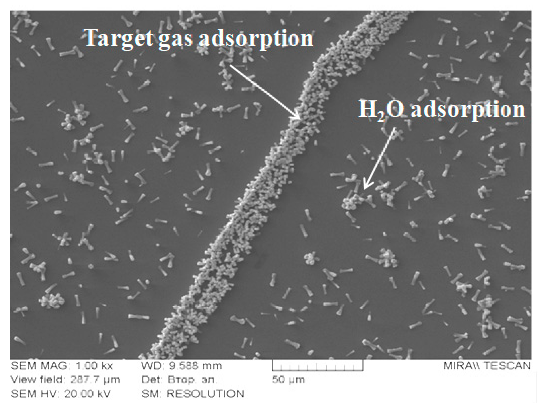Micro 03 00040 g009 Micro 03 00040 g009