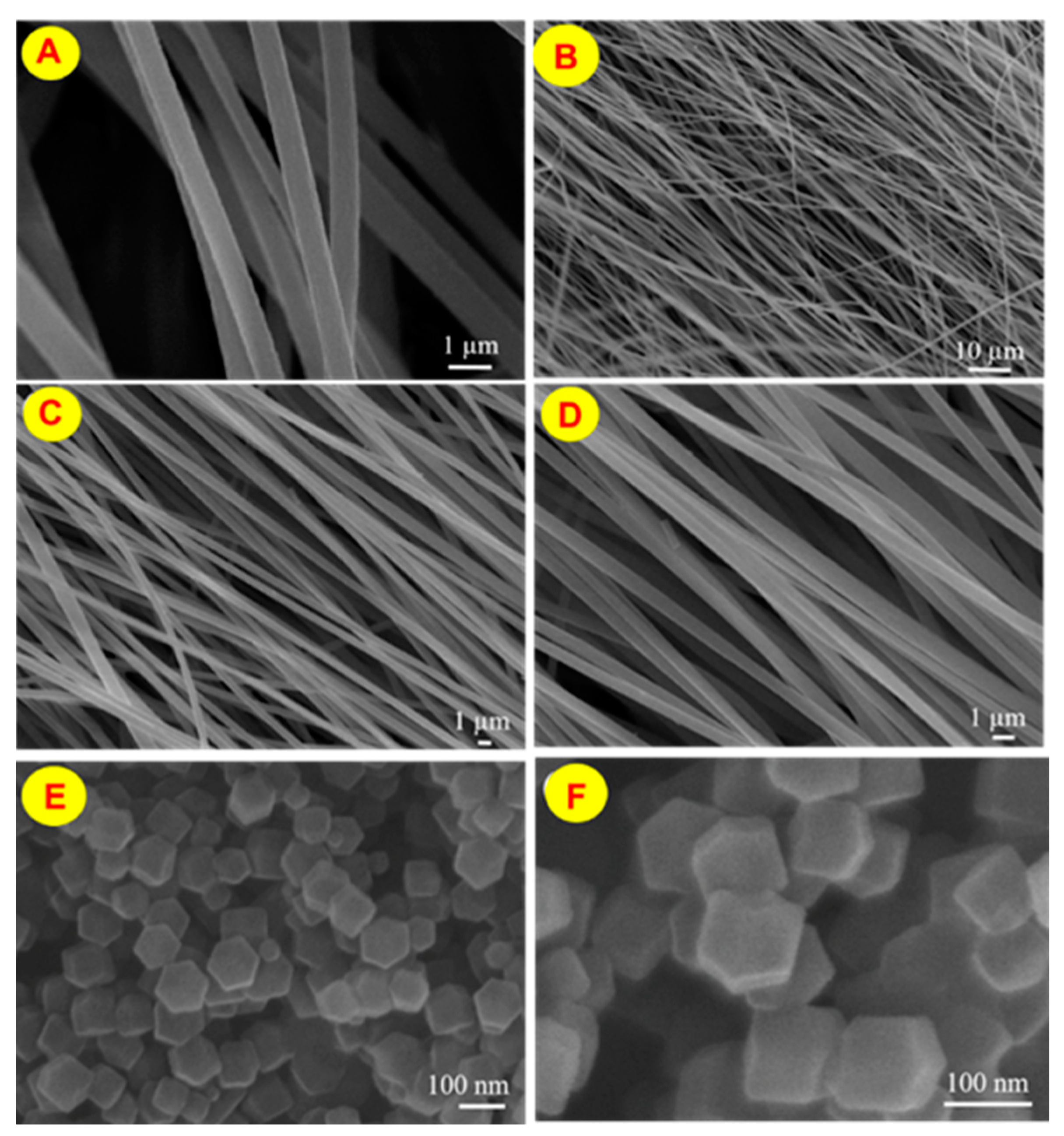Micro 04 00002 g006