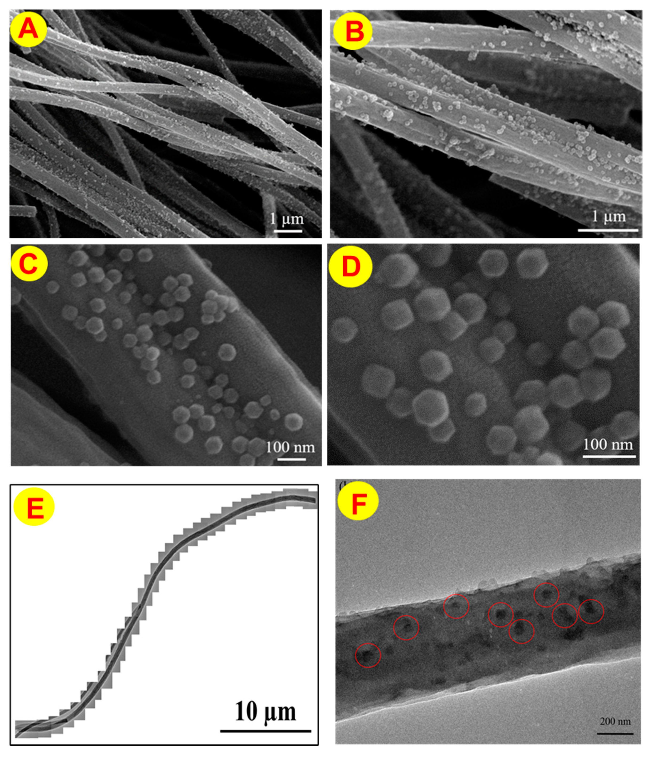 Micro 04 00002 g007