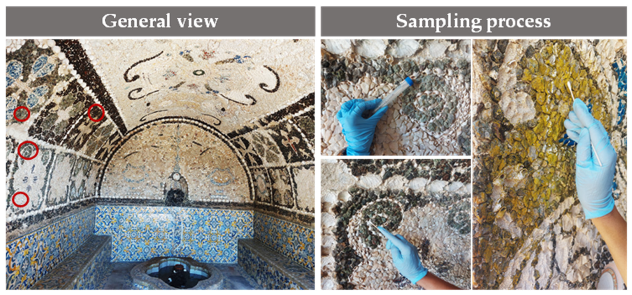 Micro 04 00008 g001 Micro 04 00008 g001