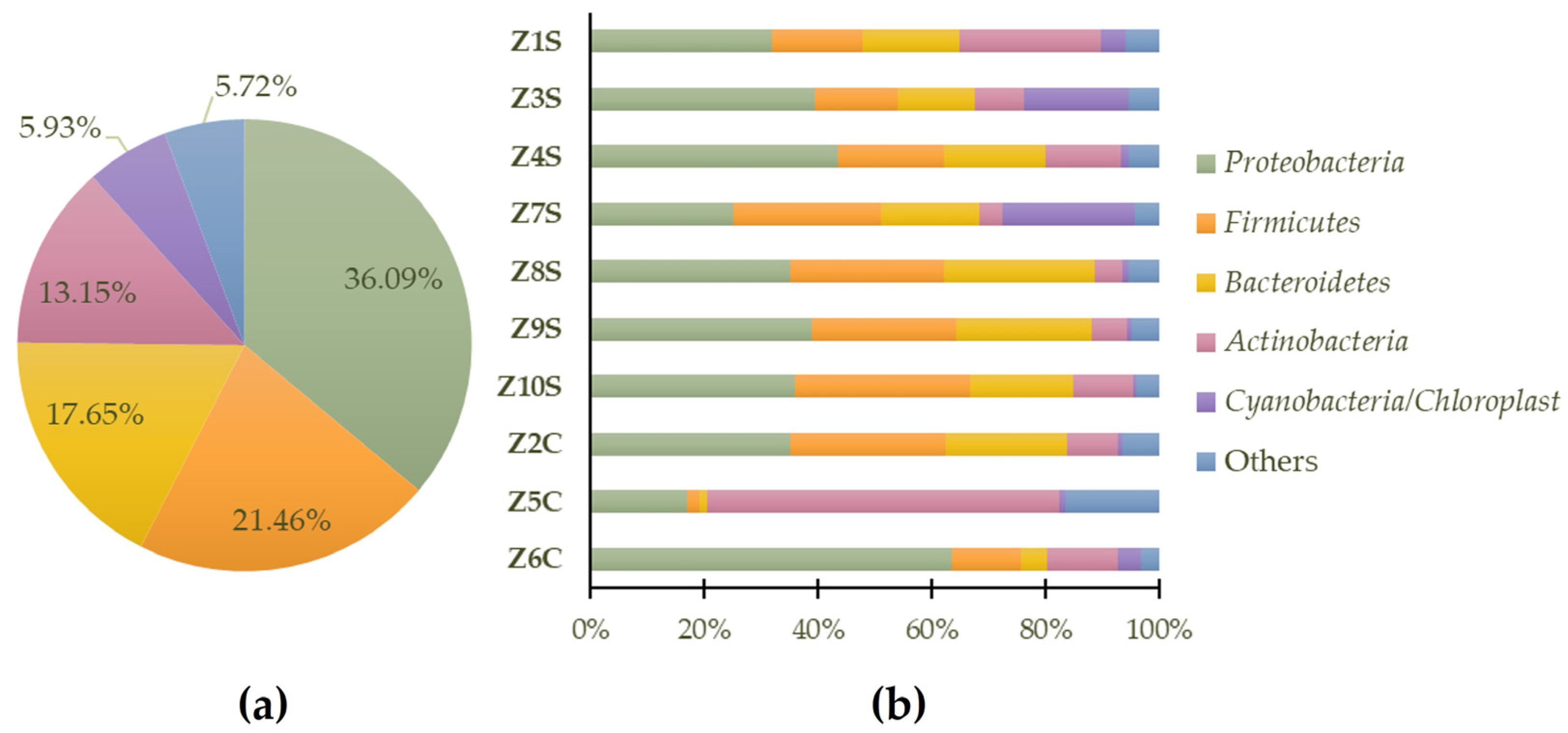 Micro 04 00008 g005 Micro 04 00008 g005
