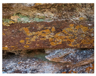 Micro 04 00008 i003 Micro 04 00008 i003