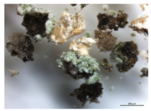 Micro 04 00008 i008 Micro 04 00008 i008