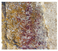 Micro 04 00008 i009 Micro 04 00008 i009