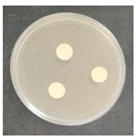 Micro 04 00008 i012 Micro 04 00008 i012