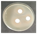 Micro 04 00008 i013 Micro 04 00008 i013