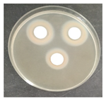 Micro 04 00008 i014 Micro 04 00008 i014