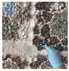 Micro 04 00008 i019 Micro 04 00008 i019