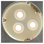 Micro 04 00008 i022 Micro 04 00008 i022