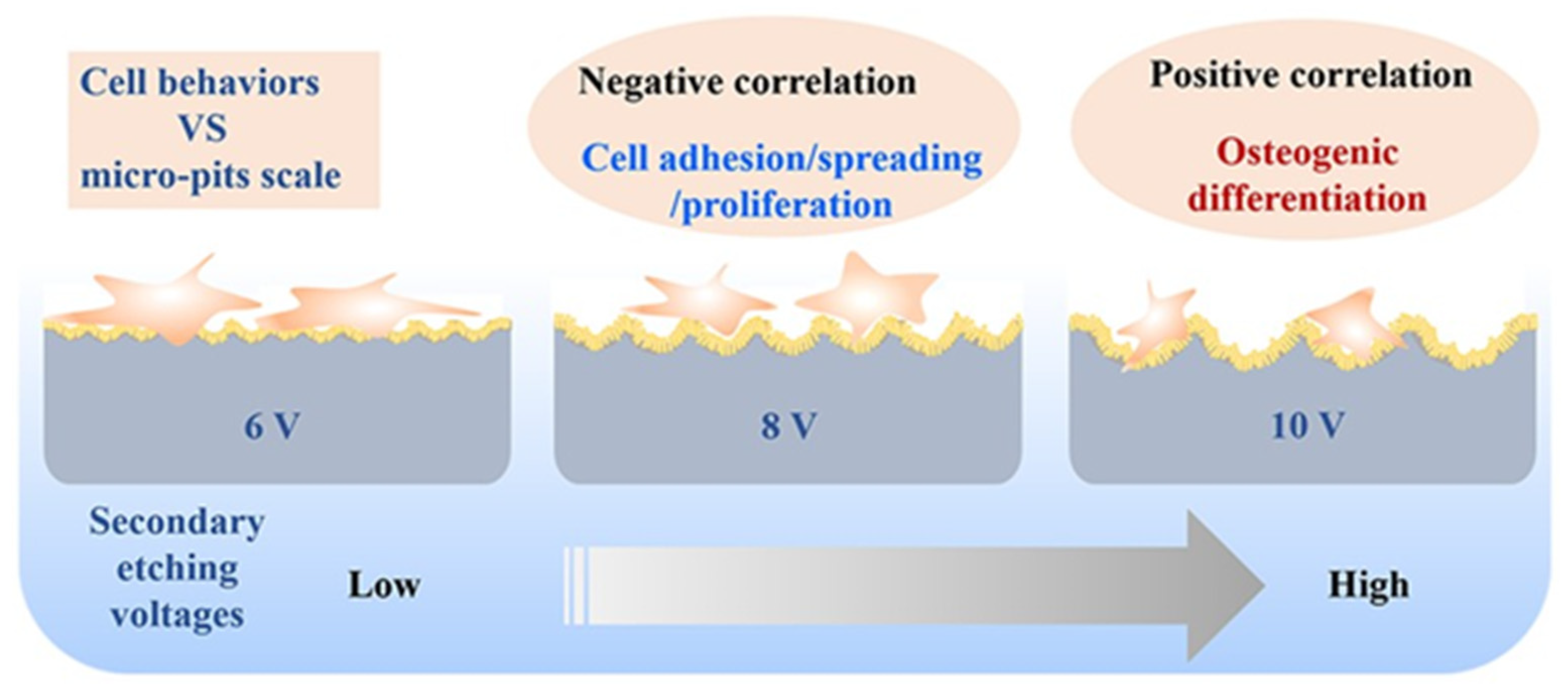 Micro 04 00016 g007 Micro 04 00016 g007