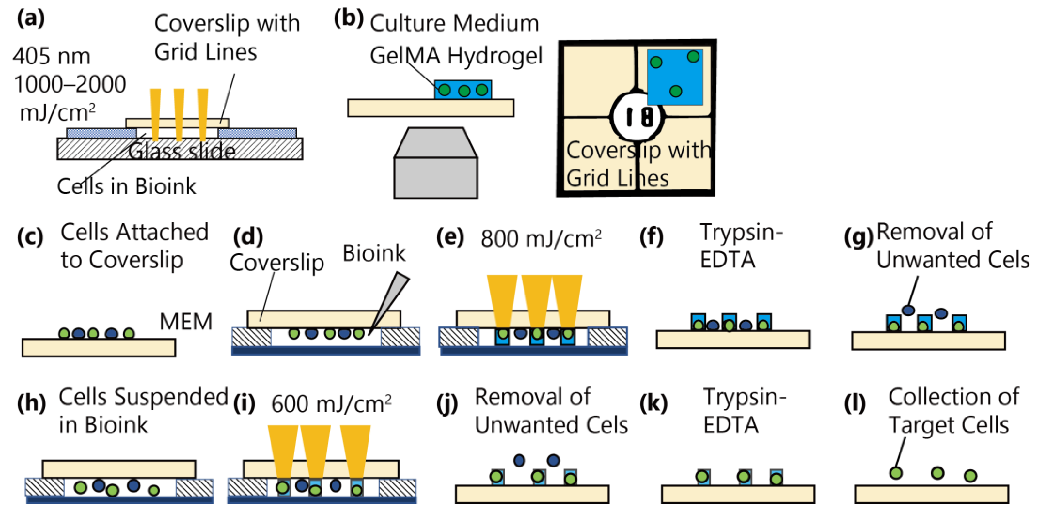 Micro 04 00018 g001