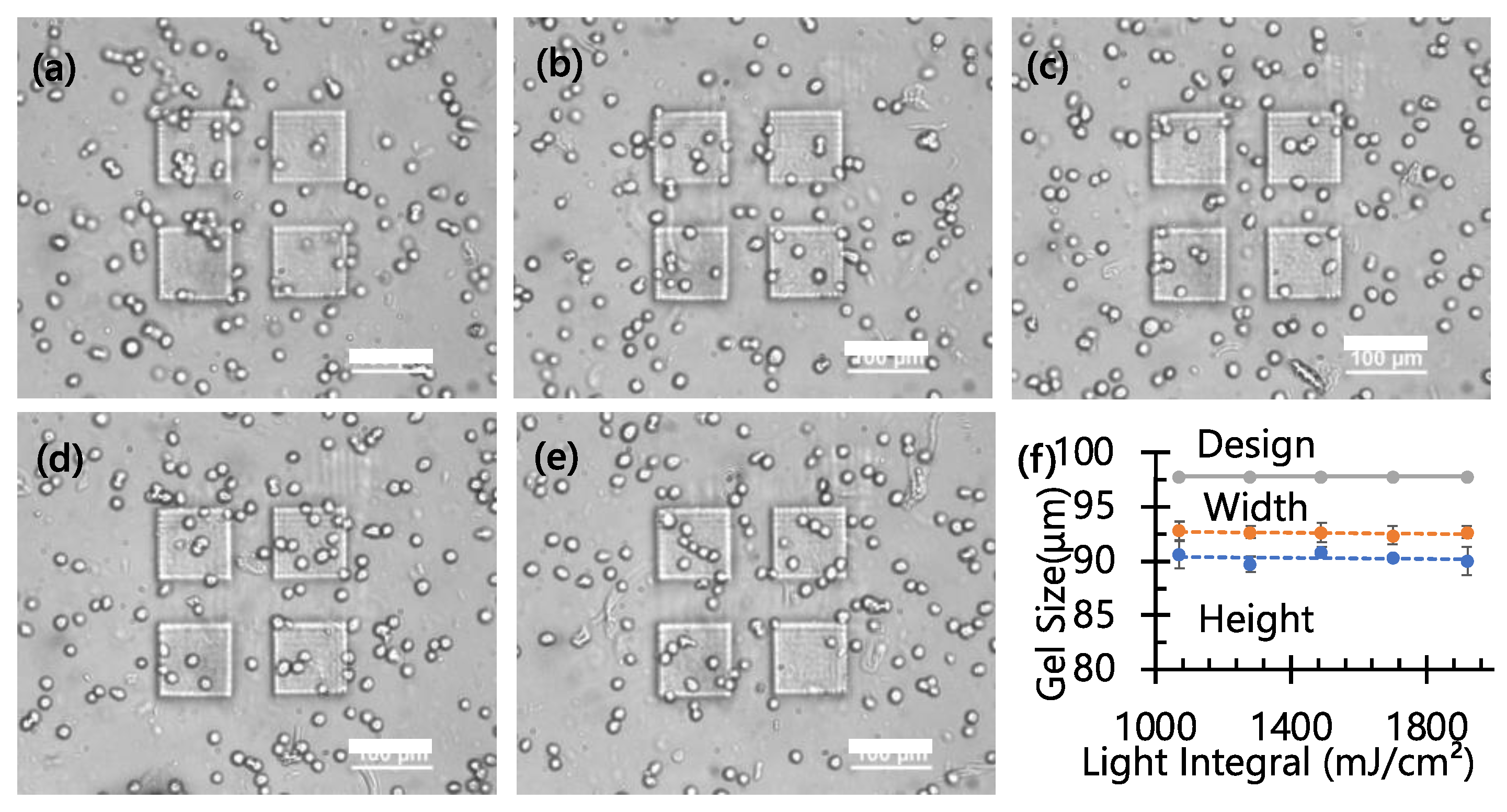 Micro 04 00018 g002