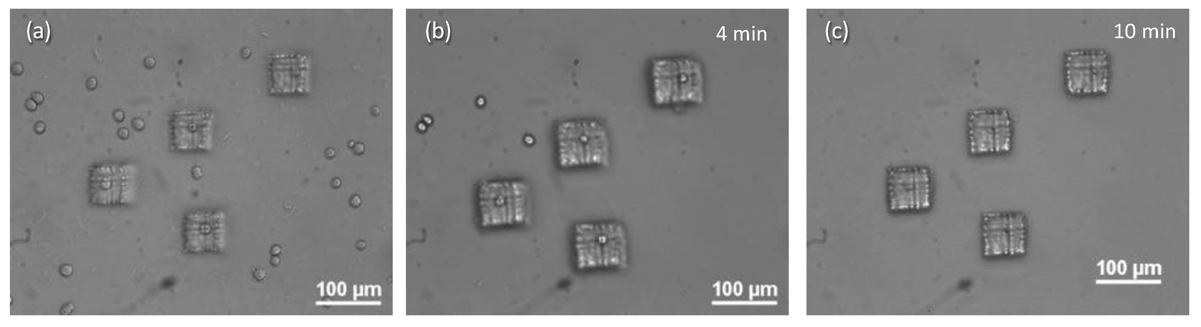 Micro 04 00018 g007
