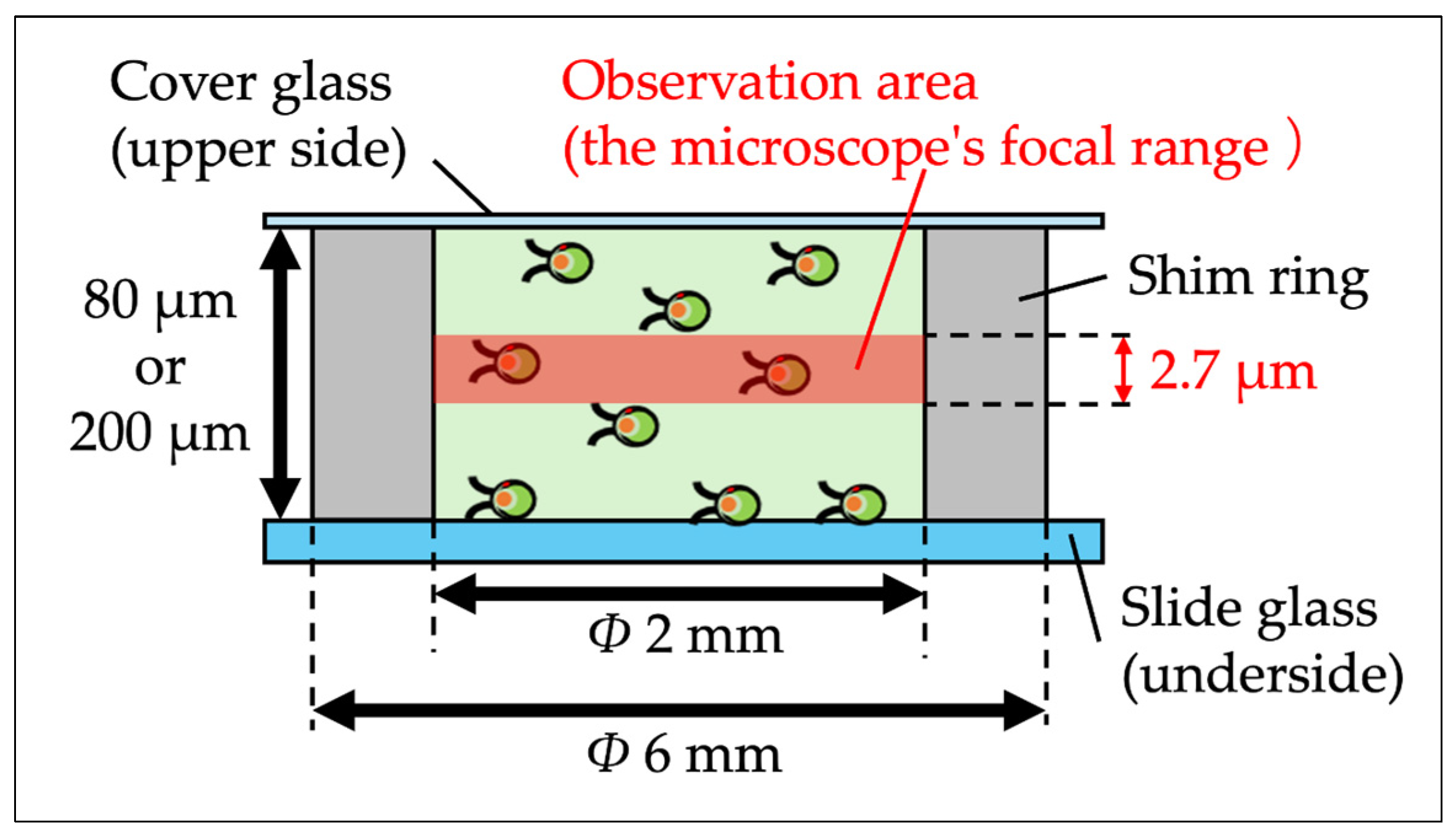 Micro 04 00026 g001 Micro 04 00026 g001