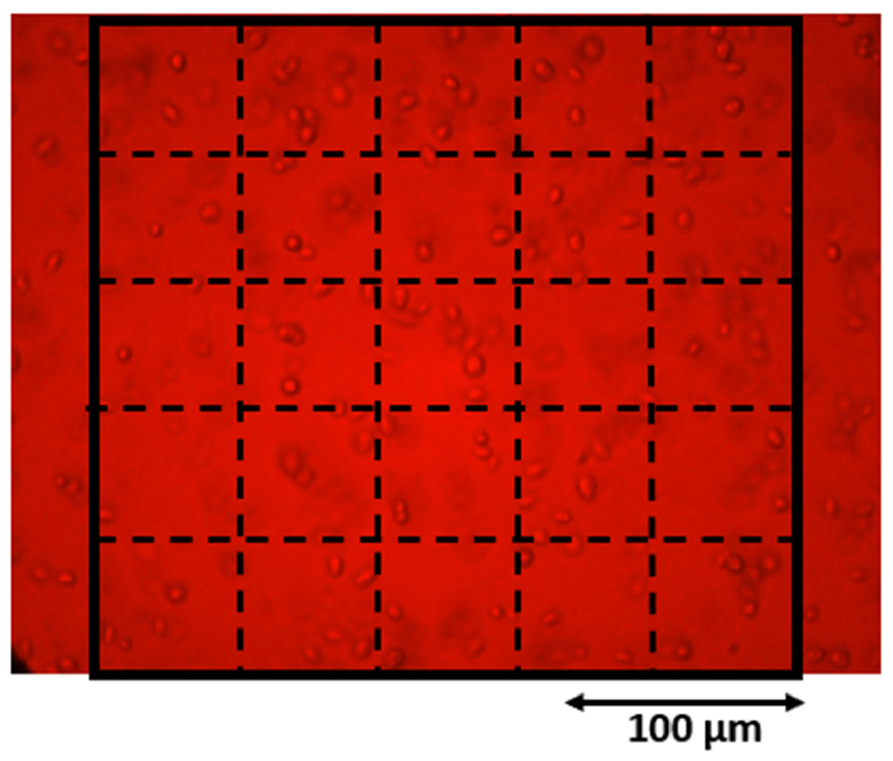 Micro 04 00026 g005 Micro 04 00026 g005