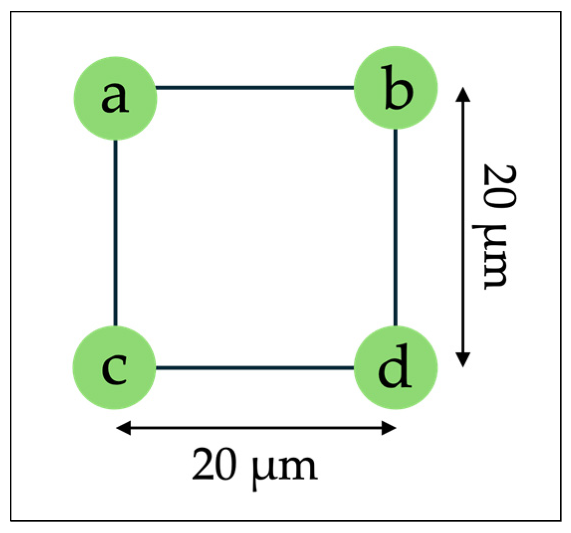 Micro 04 00026 g0a1 Micro 04 00026 g0a1