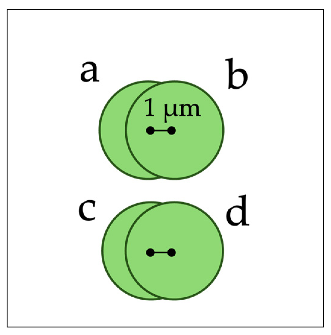 Micro 04 00026 g0a2 Micro 04 00026 g0a2
