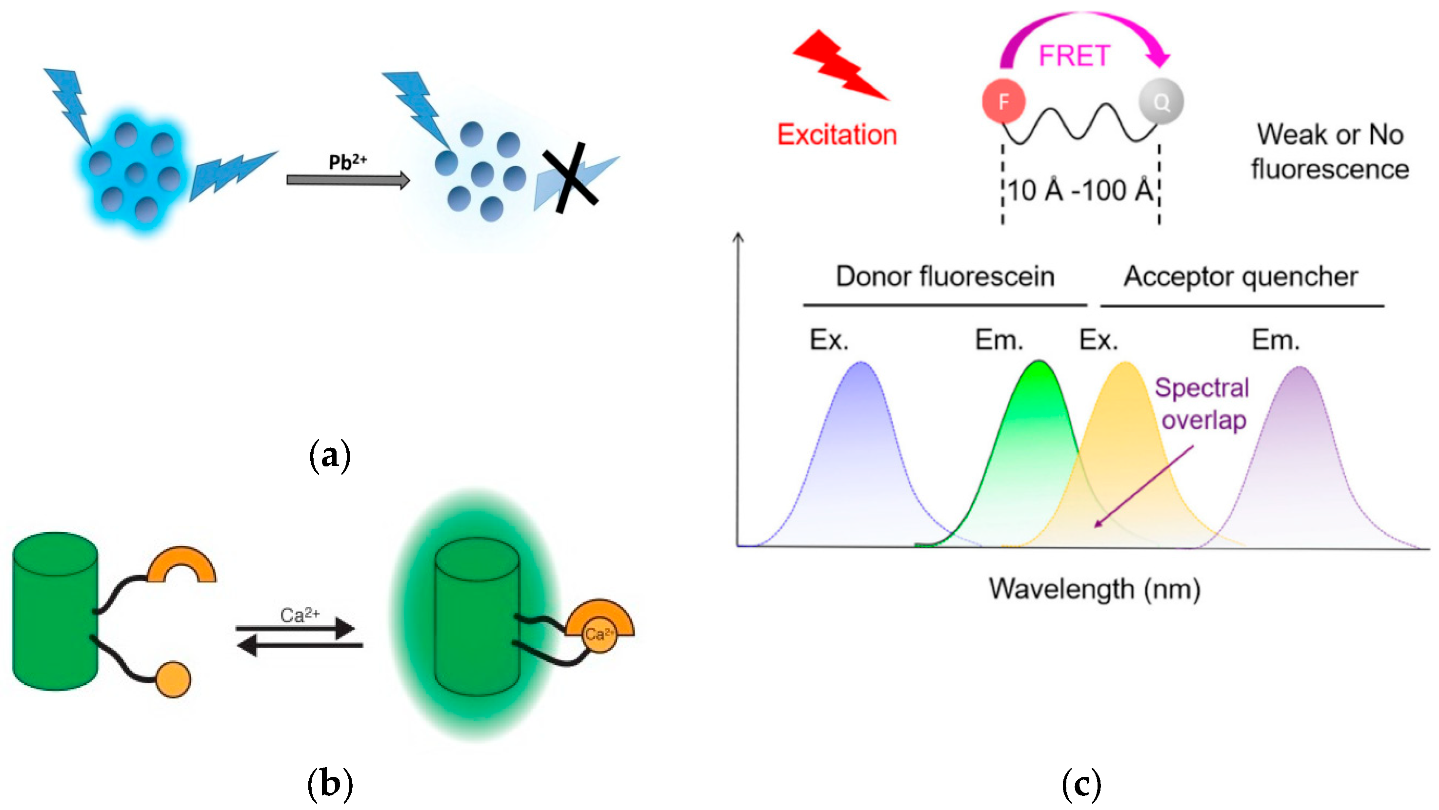 Micro 05 00015 g001a