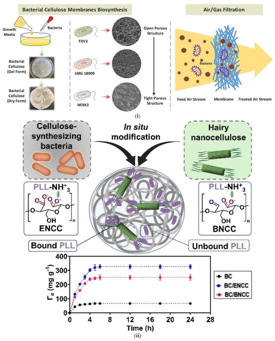 Micro 05 00037 g004a