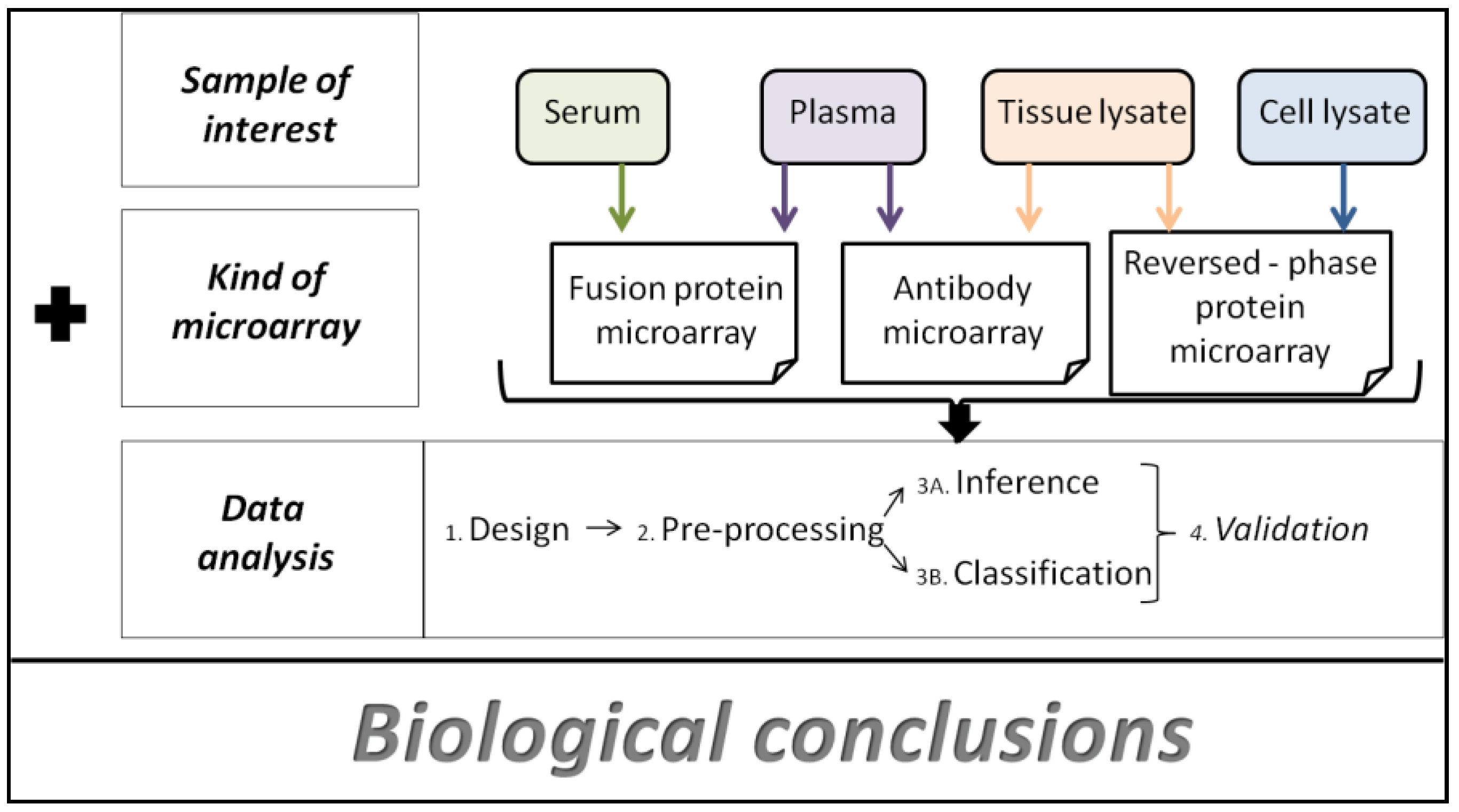 Microarrays 01 00064 g003