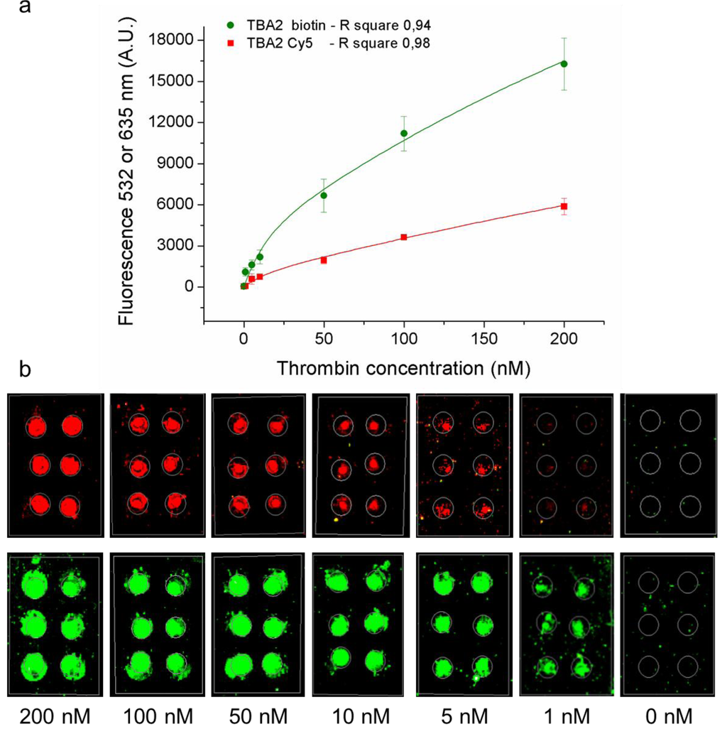 Microarrays 01 00095 g004 1024
