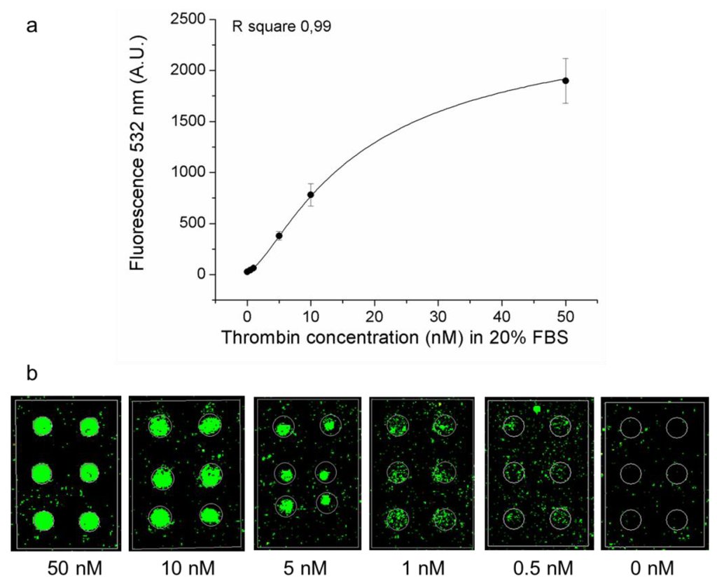 Microarrays 01 00095 g005 1024