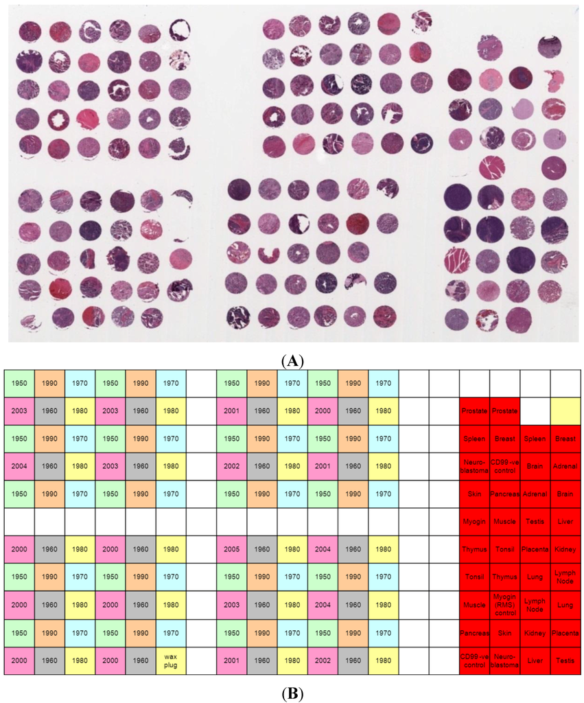 Microarrays 03 00072 g001 1024