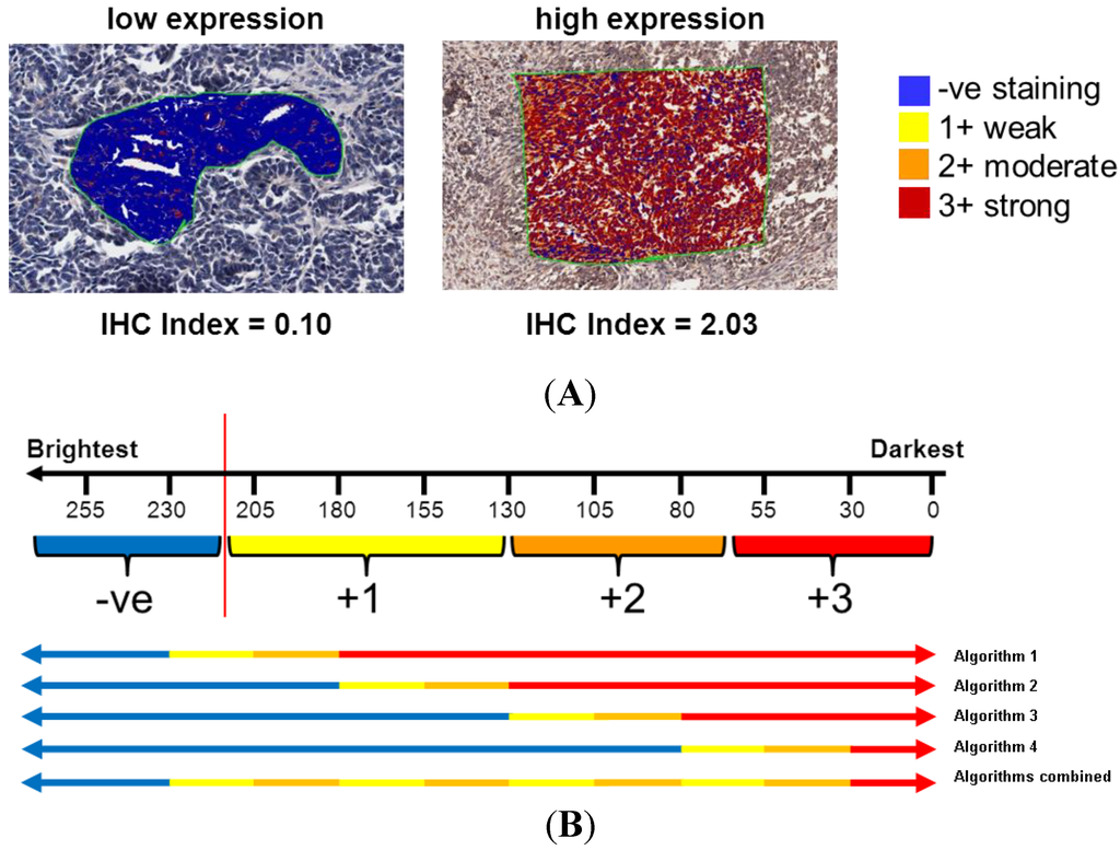 Microarrays 03 00072 g002 1024