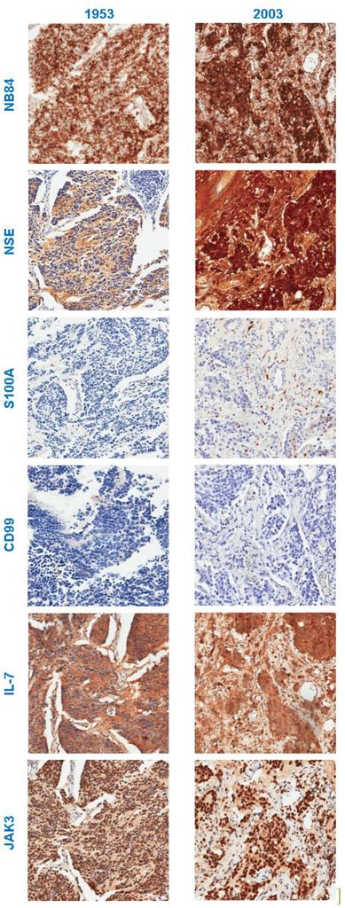 Microarrays 03 00072 g005 1024