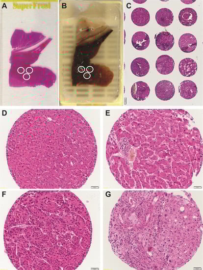 Microarrays 03 00091 g001 550
